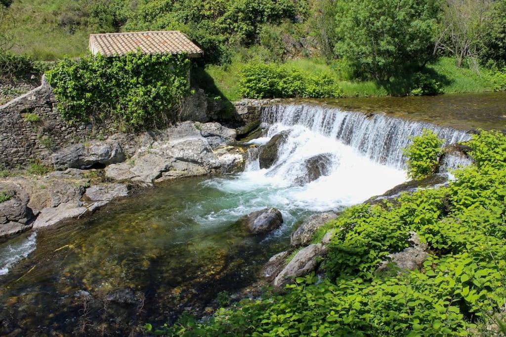 Le Moulin Du Plo Du Roy Hébergement de vacances Villeneuve-Minervois